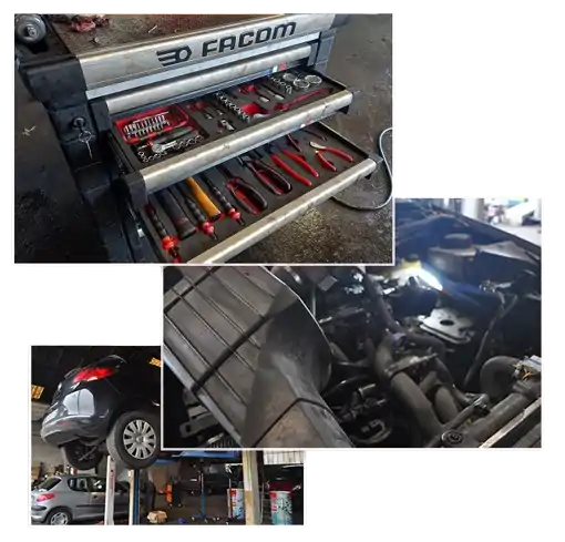 03-007-removebg-preview